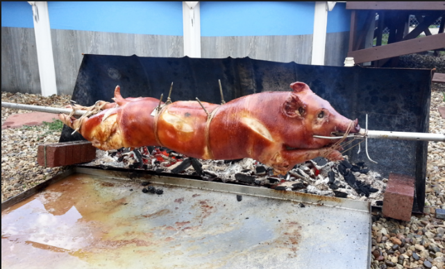 spit roast pig